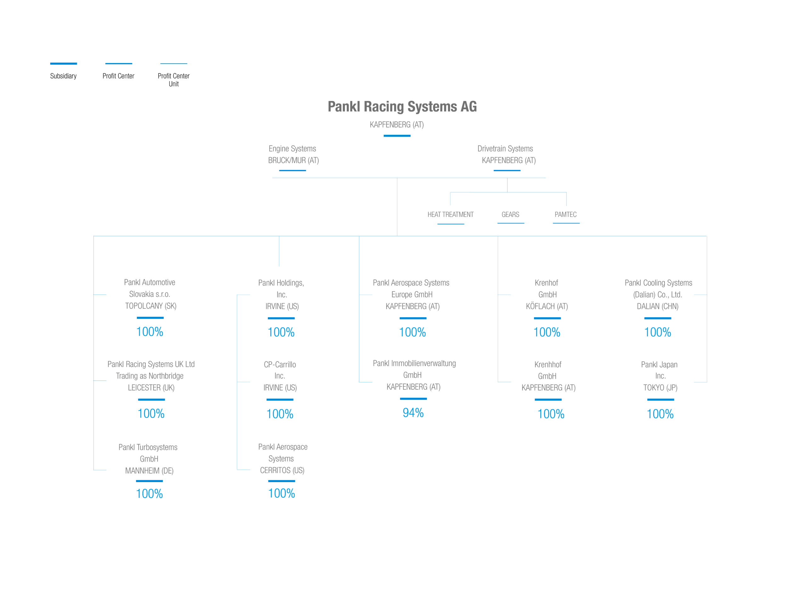 pankl_company_structure_2025-01