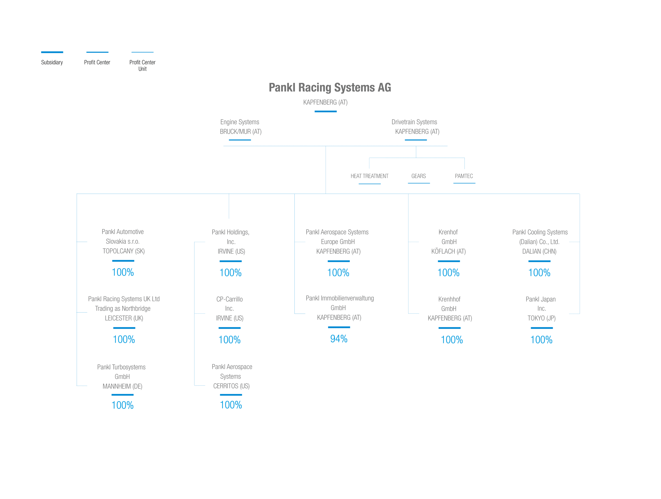 pankl_company_structure_2025-01